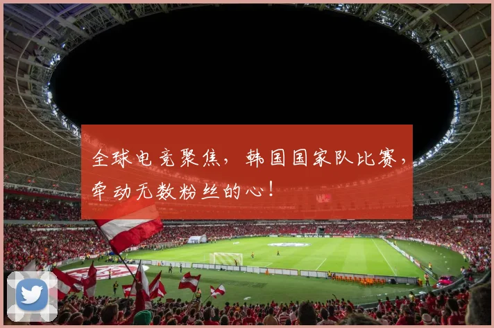 全球电竞聚焦,韩国国家队比赛,牵动无数粉丝的心!
