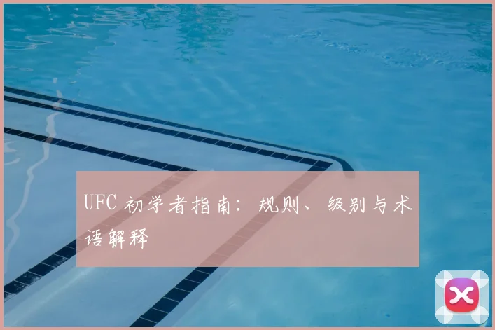 UFC 初学者指南:规则、级别与术语解释