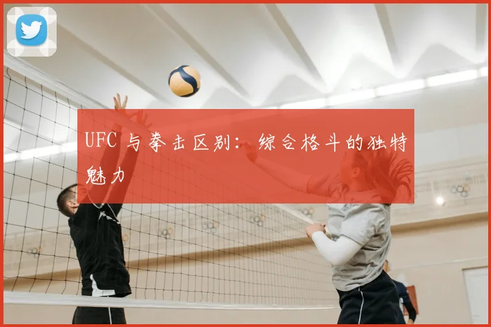 UFC 与拳击区别：综合格斗的独特魅力