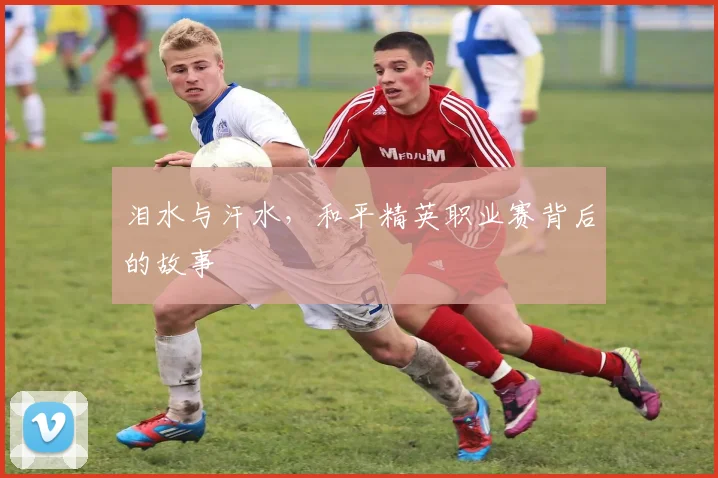 泪水与汗水,和平精英职业赛背后的故事