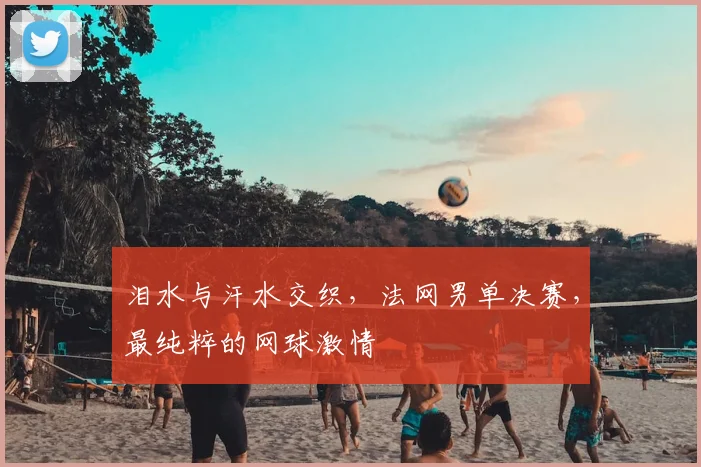 泪水与汗水交织,法网男单决赛,最纯粹的网球激情