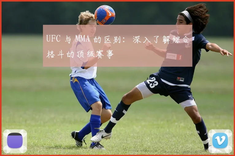 UFC 与 MMA 的区别:深入了解综合格斗的顶级赛事