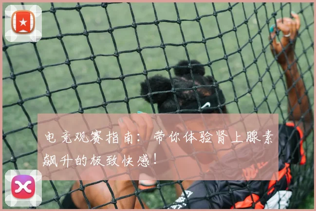 电竞观赛指南:带你体验肾上腺素飙升的极致快感!