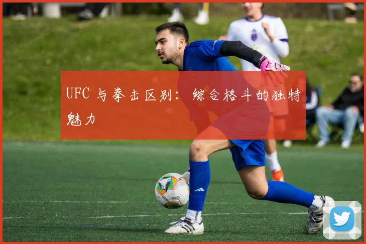 UFC 与拳击区别:综合格斗的独特魅力