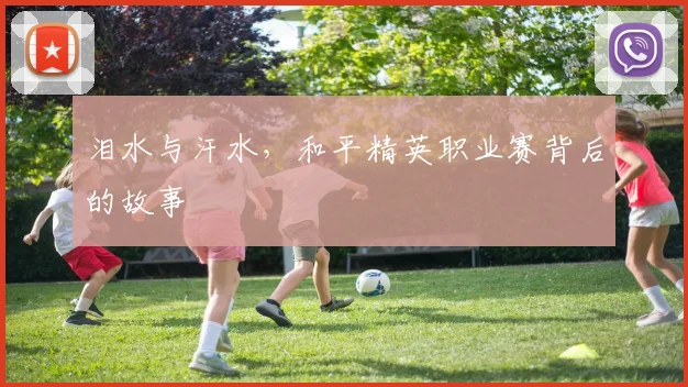 泪水与汗水,和平精英职业赛背后的故事