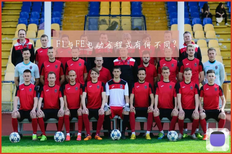 F1与FE电动方程式有何不同？